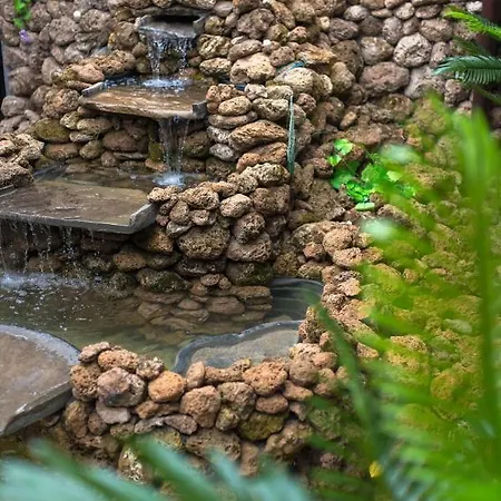 Maison d'hôtes Etobicoke -стаи за гости